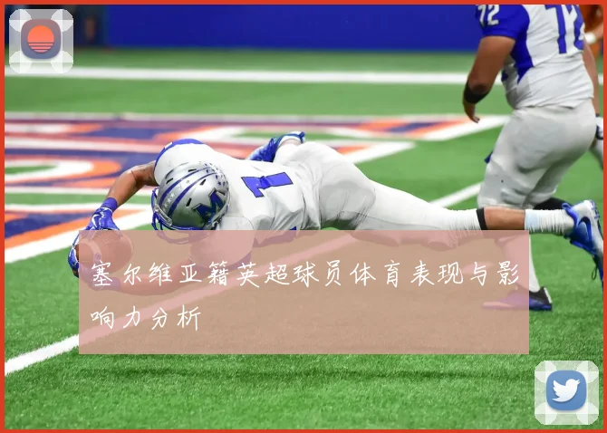 塞尔维亚籍英超球员体育表现与影响力分析